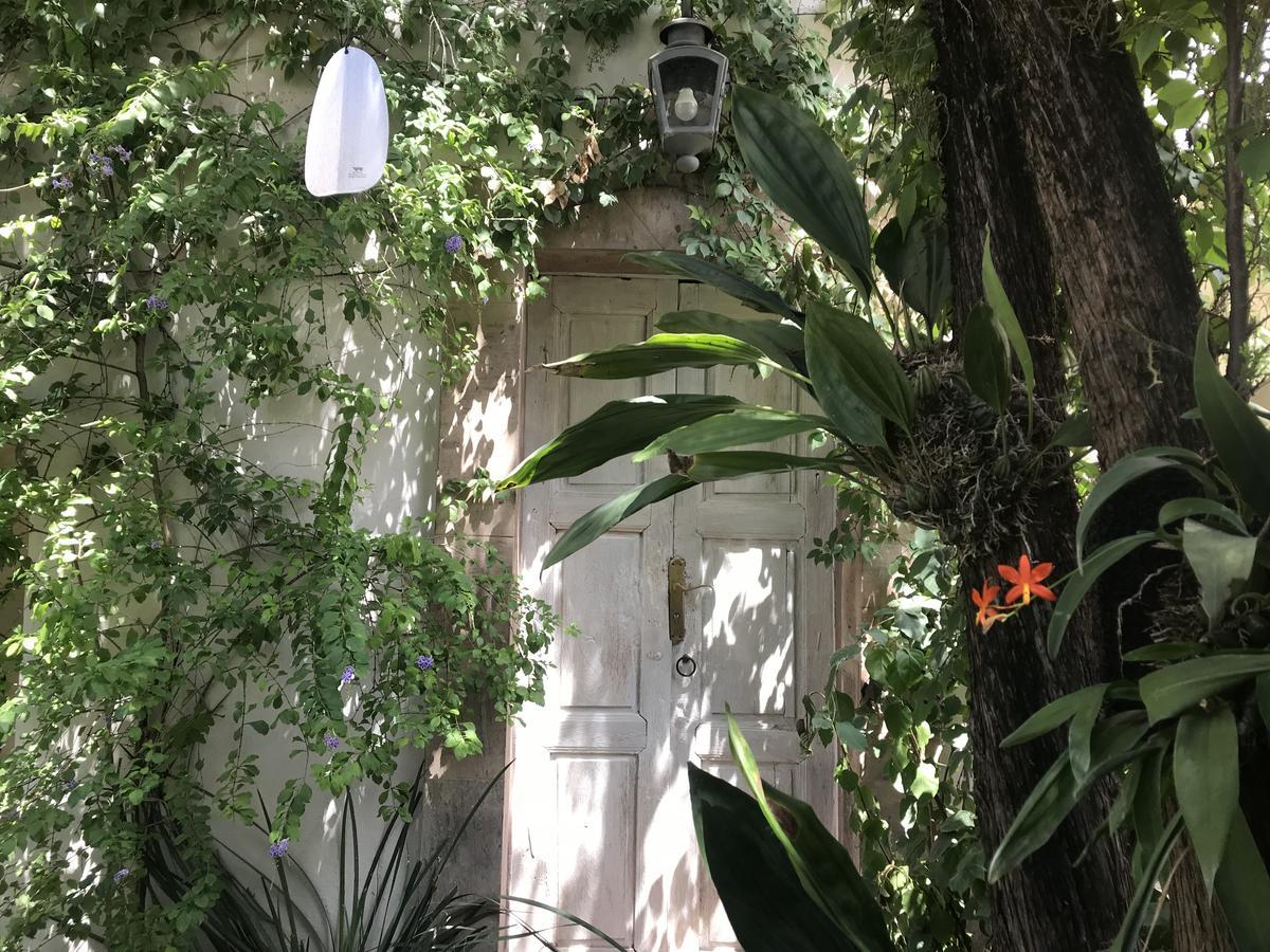 Hotel Fk San Miguel de Allende Eksteriør bilde